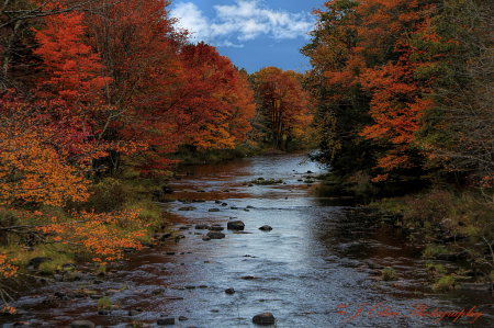 The Sheepscot River