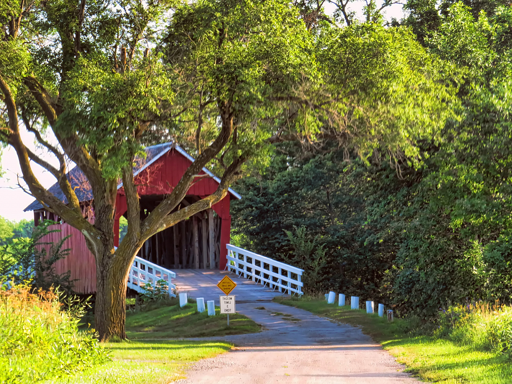 Covered Bridge At Rock Falls