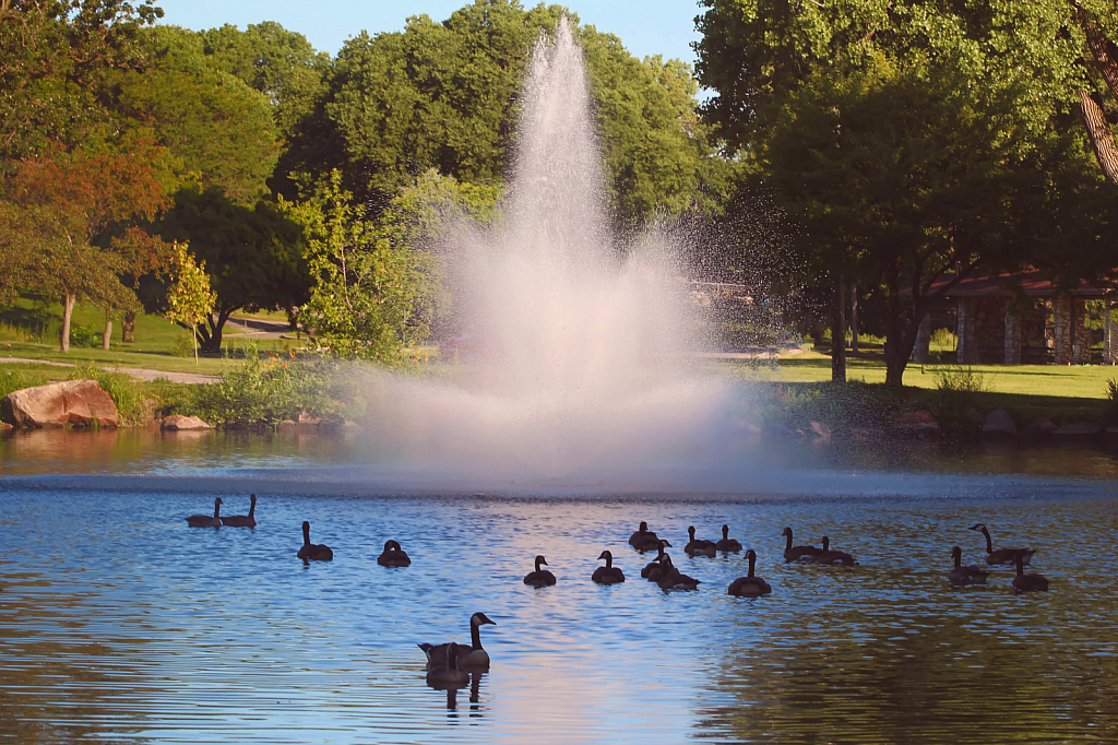 East Park Goose Pond