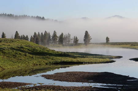 Misty Morning