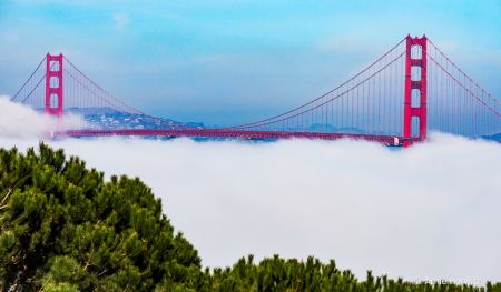 Golden Gate-II