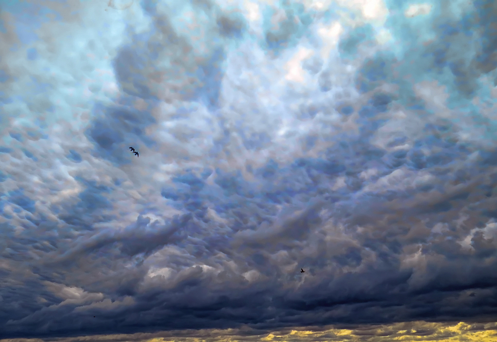 Clouds And Birds