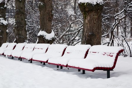 Snowy Benches