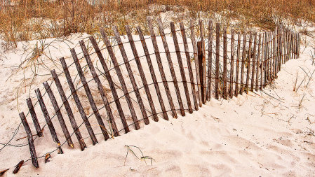 Sand Fence