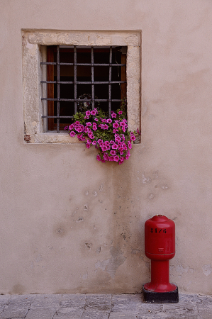 Venice Surprise