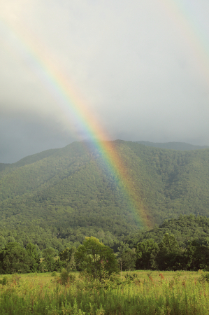 rainbow verticale