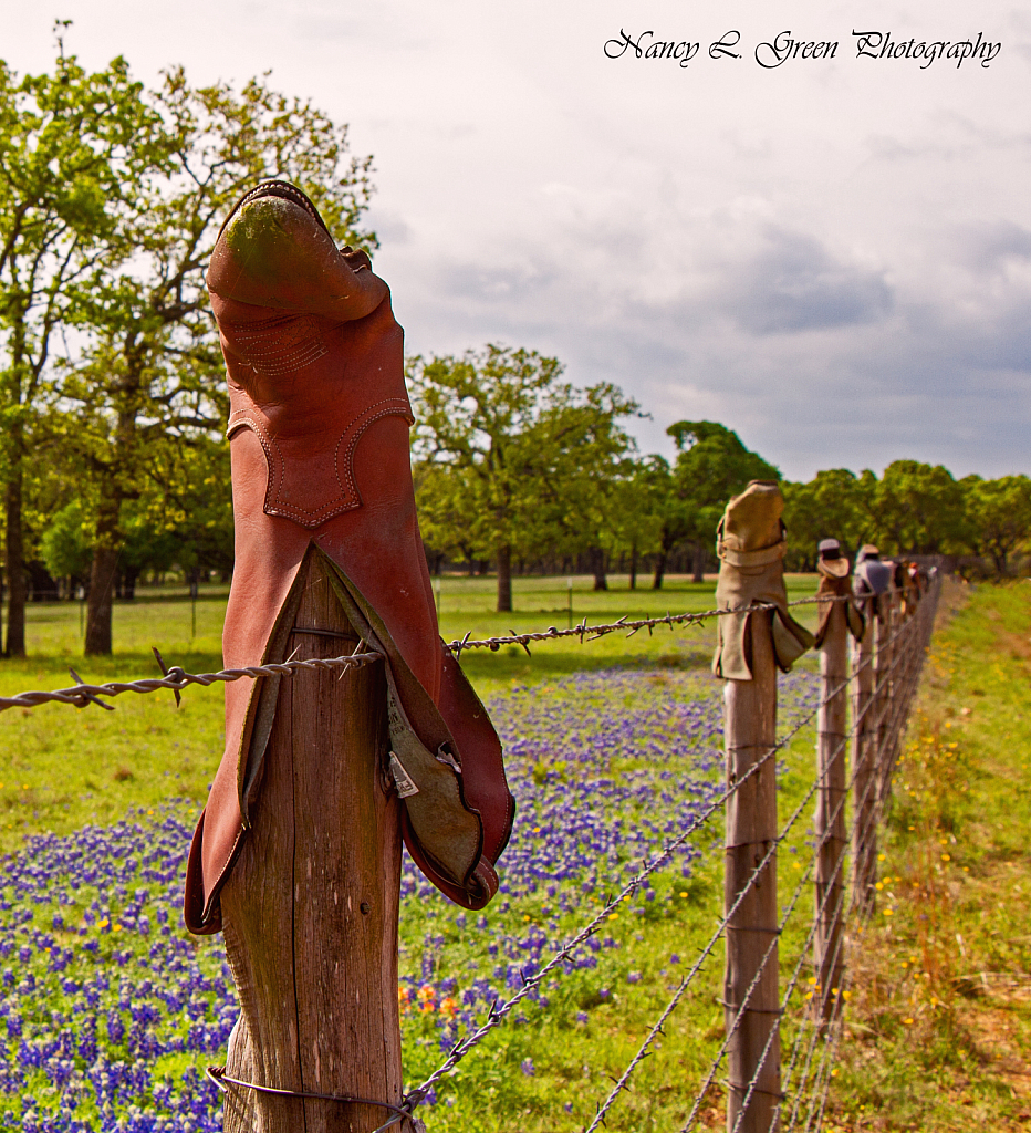 Boots + Blue Bonnets