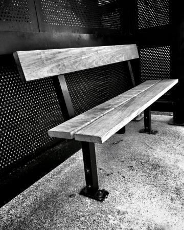 The Bus Stop Bench