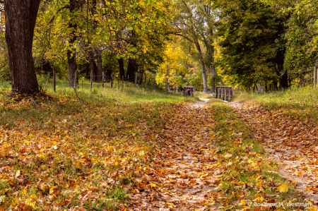 Country roads in the fall