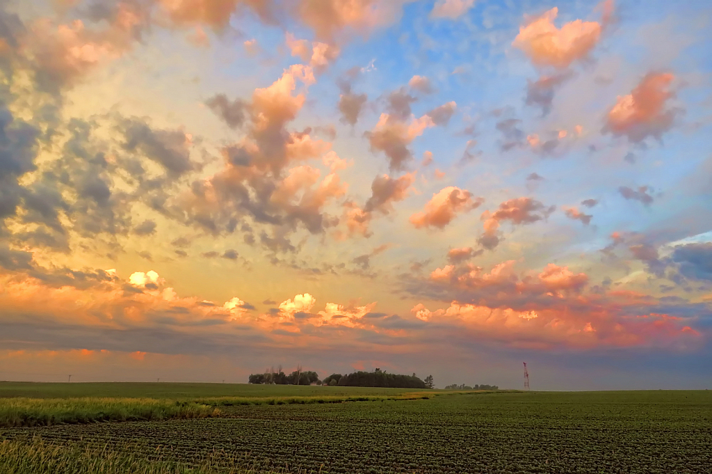 Morning In The Country