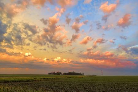 Morning In The Country