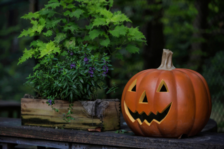 Jack O. Lantern