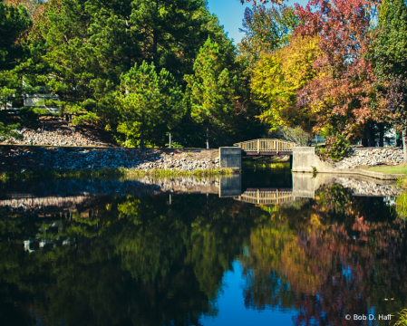 Arkansas Autumn