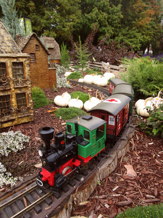 Train in pumpkin city