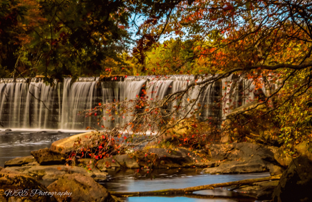 Autumn Falls