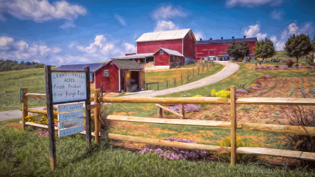 Quintessential Farm