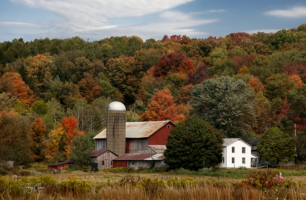 Down in Amish Country