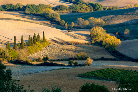 Rolling Hills in Tuscany