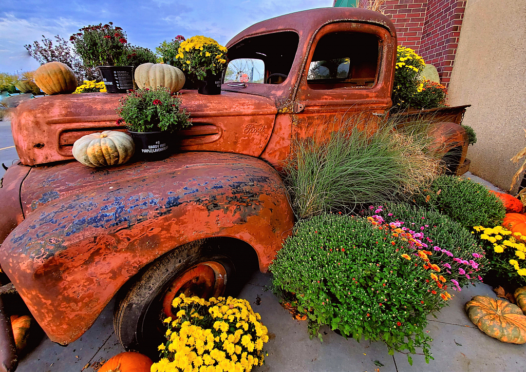 Truck full of pumpkins and mums