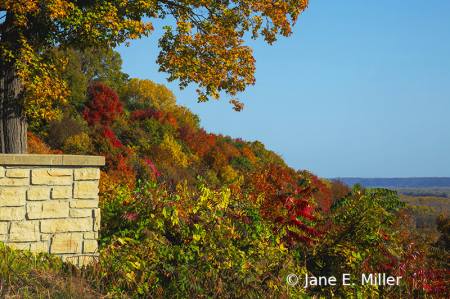 Fall's Amazing Colors