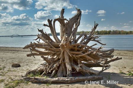 Beach Art!