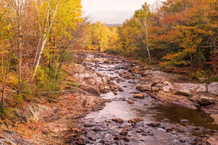 North Country Autumn