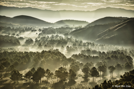 a winter morning