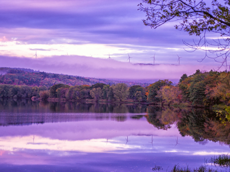 Windmills in the Mists 