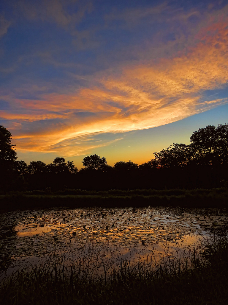 Greenbelt Pond At Sunrise 