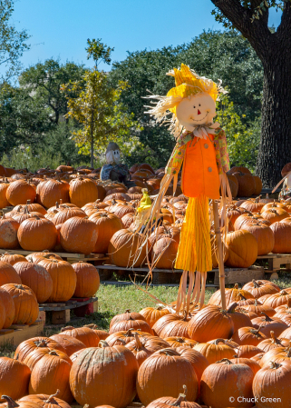 The Scarecrow of Punkinville