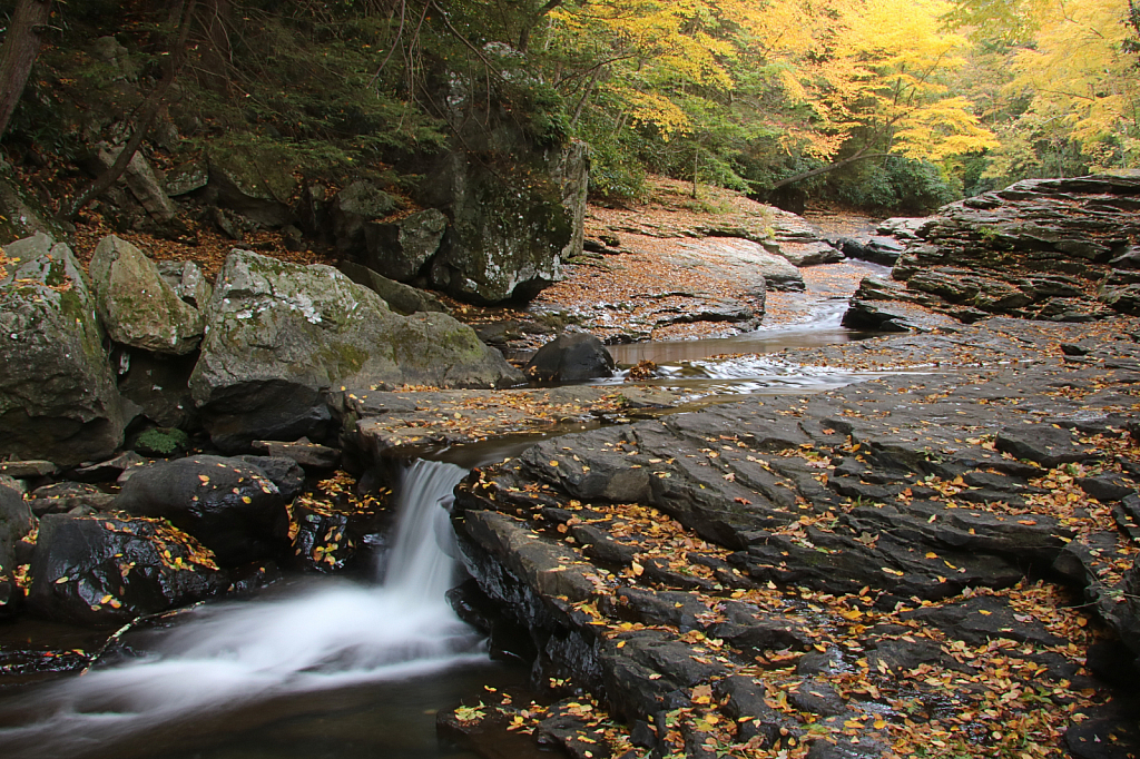 Little Autumn Falls