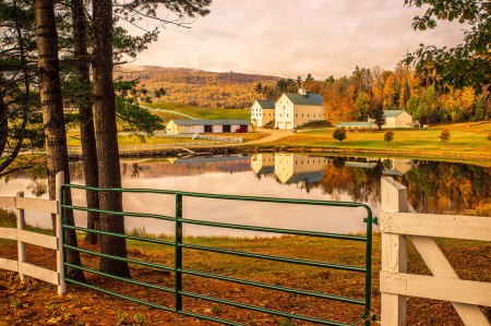 Farm Gate