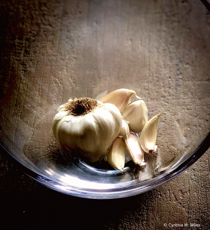 Garlic