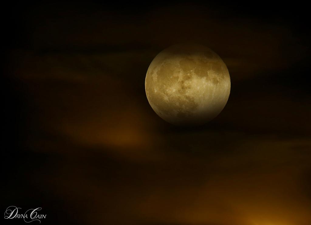 Halloween Moon