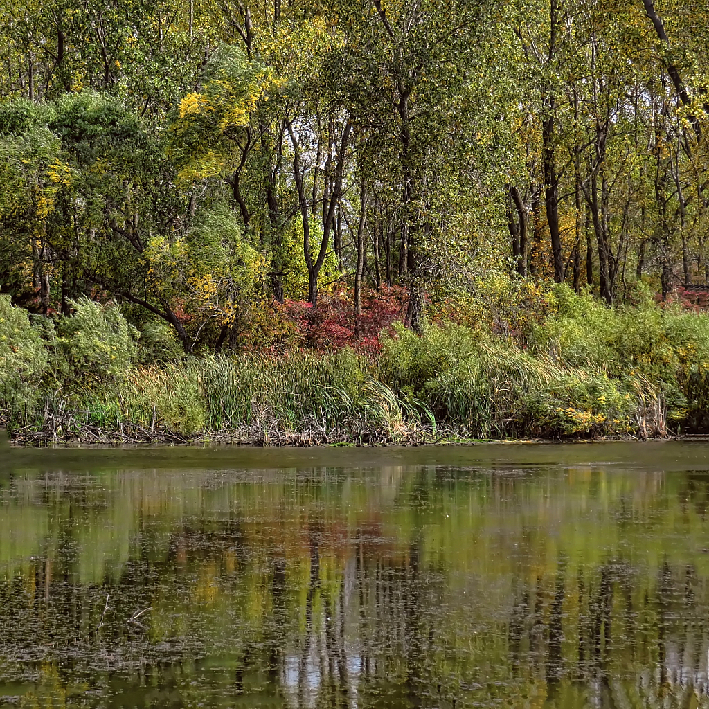 Fin And Feathers Lake