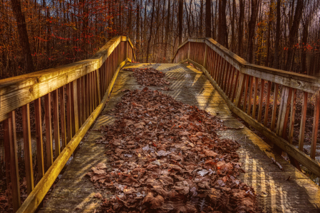 Blue Clay Falls Bridge