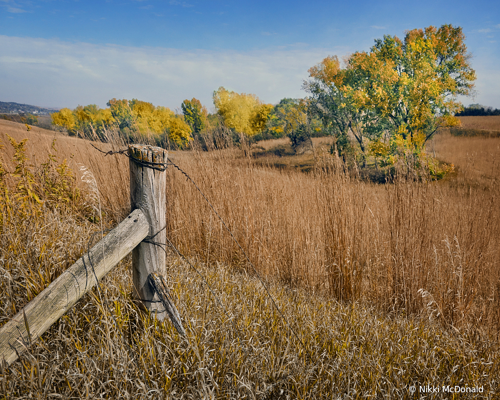 Loess Hills Fence Post