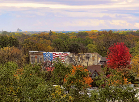 The View From My Window