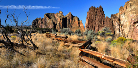 Desert Fence