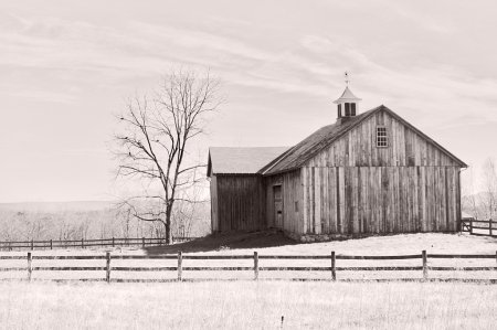 Fences and Barn