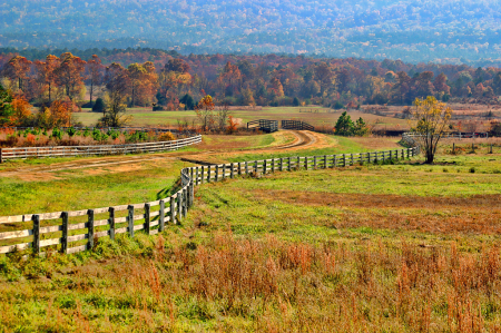 Fall Fencing