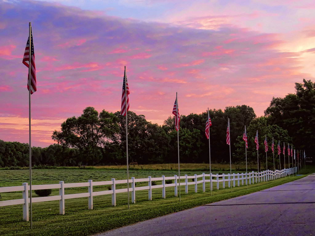 Line Of Flags 