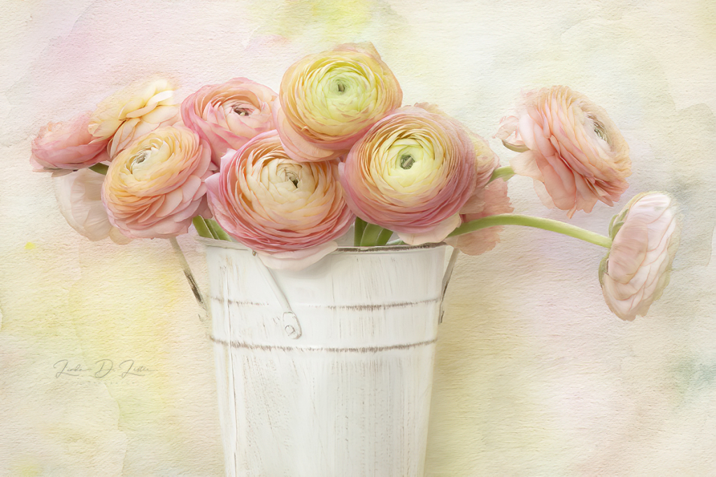 Ranunculus Bouquet 