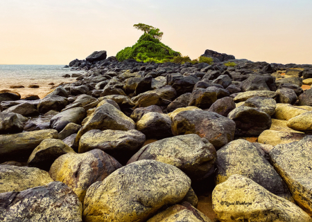 Bed of Rocks