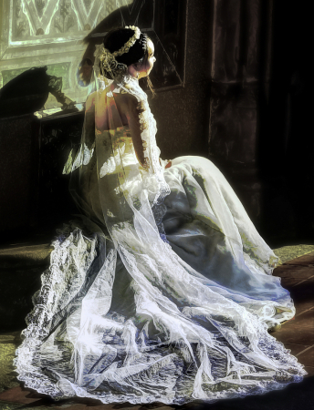 Bride in Shadows