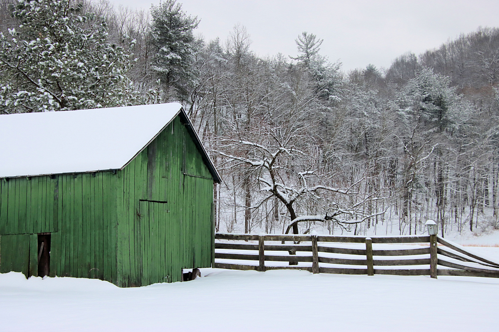 First Snow