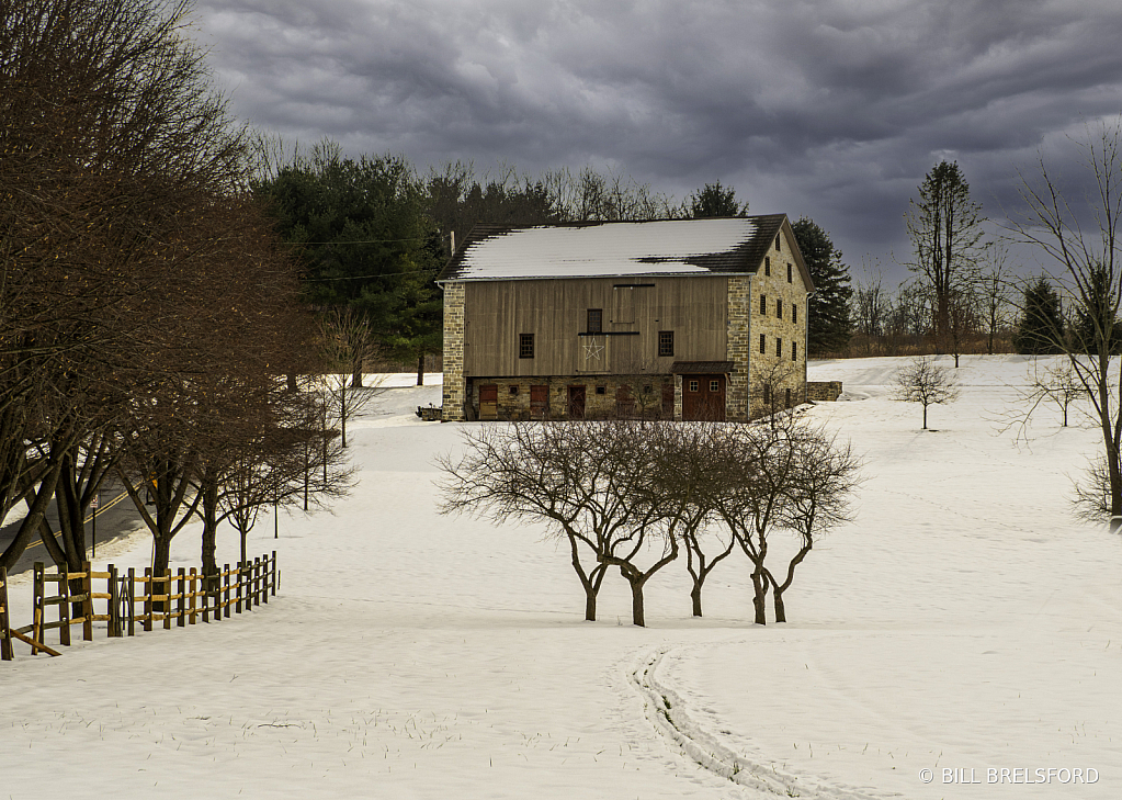 Winter Landscape