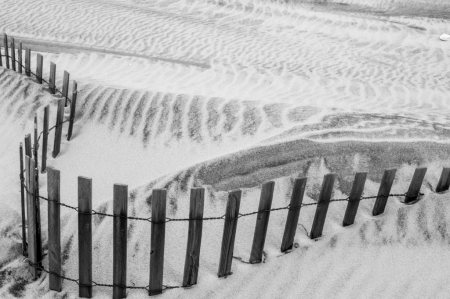 Beach Curves