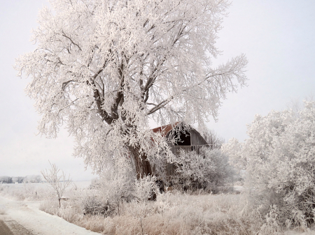 Hidden Barn