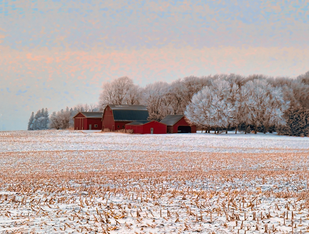 Frosty Friday